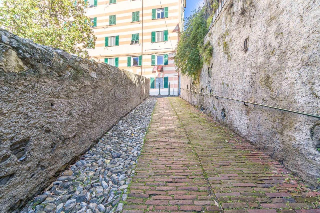 Gruber Modern Flat * Genua